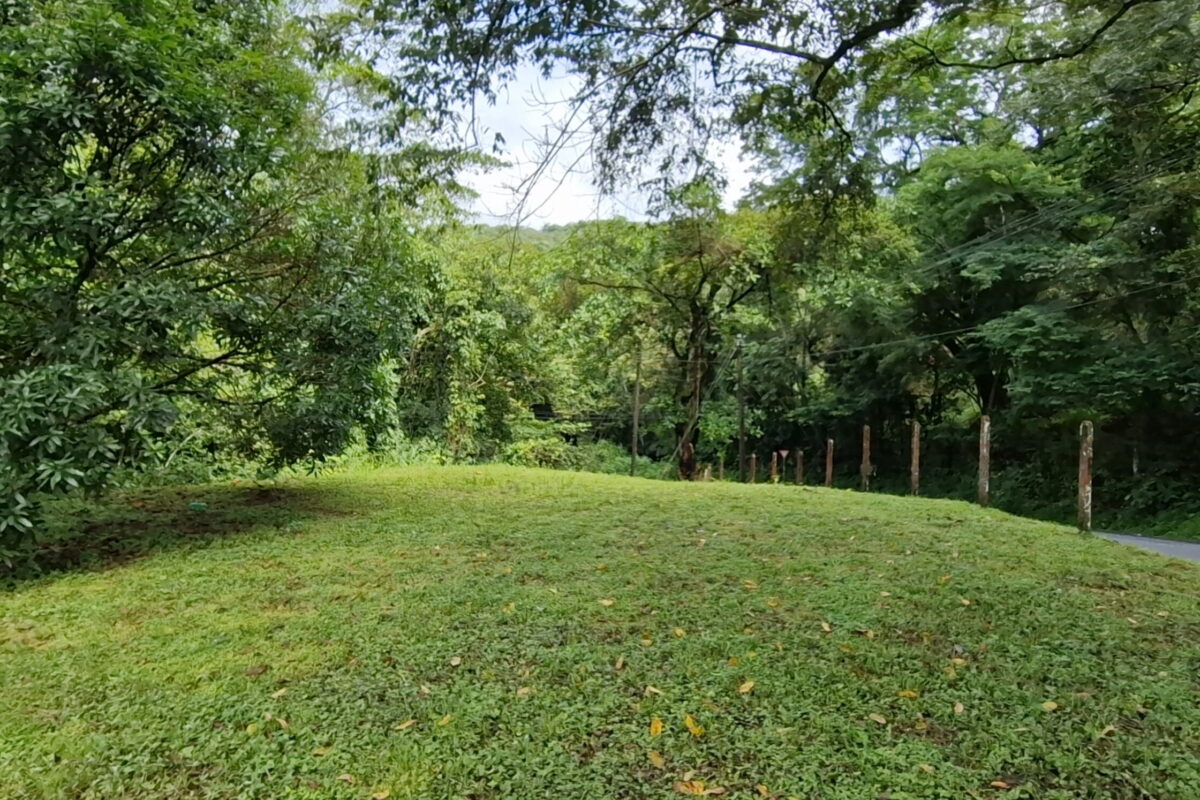 Commercial Lot, Desamparados