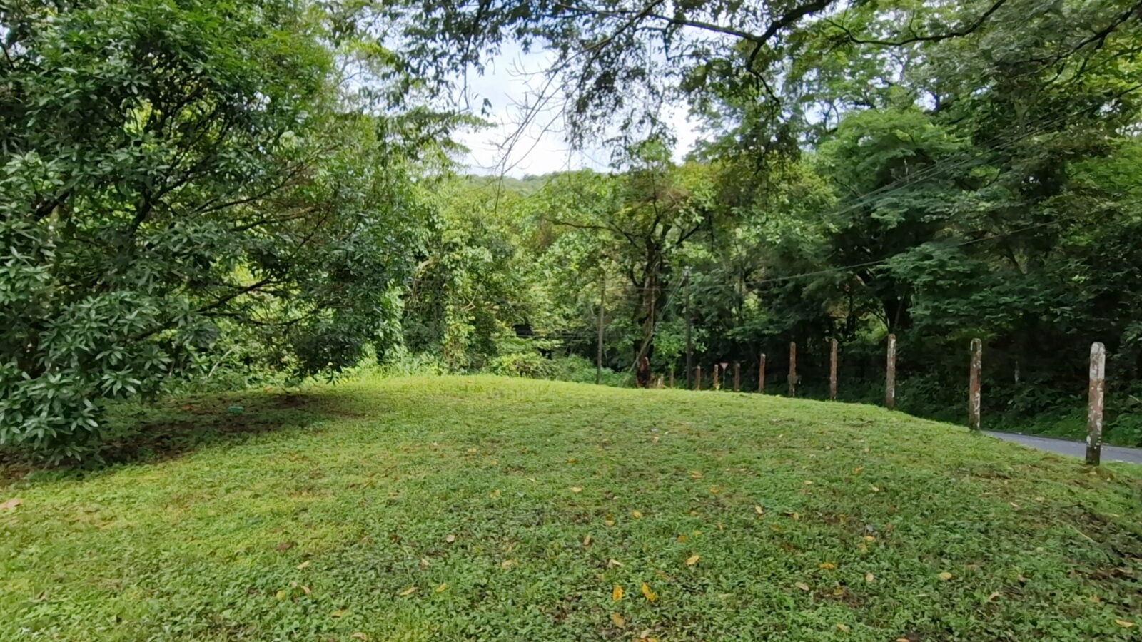 Commercial Lot, Desamparados