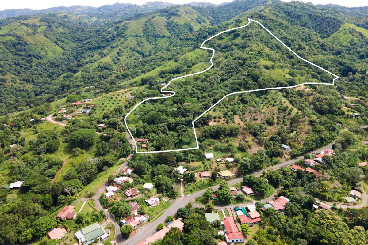 Finca Desmonte