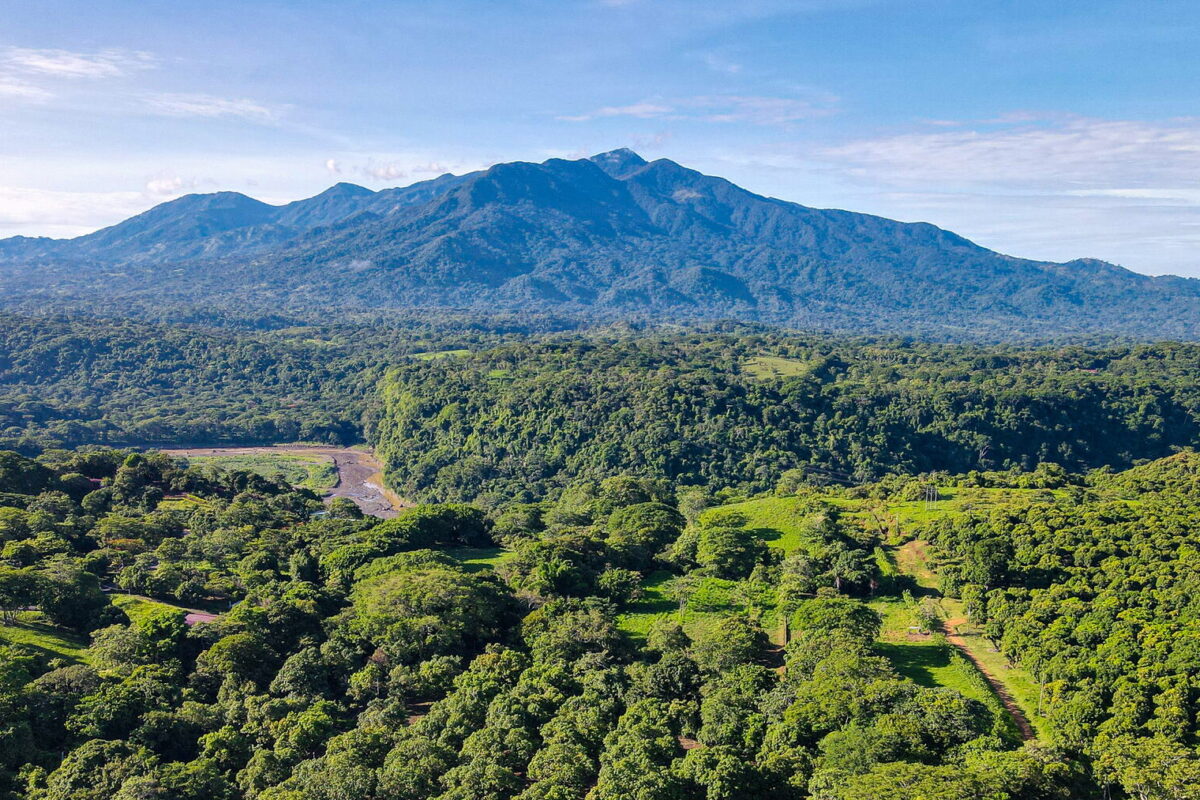 Large Lot with Views — Lot 2