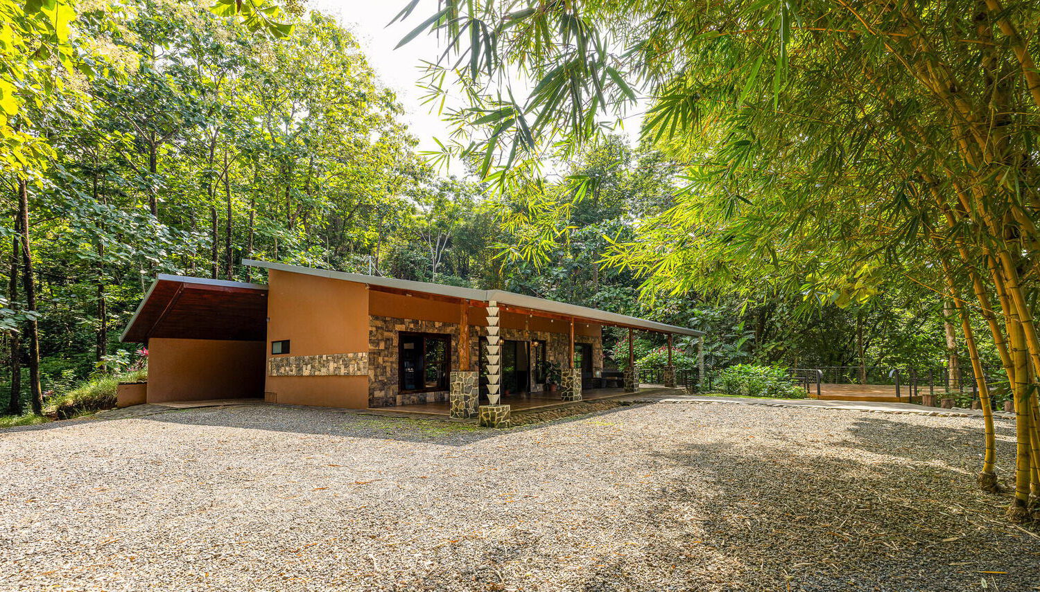 Single-storey stone home with a planted green roof among tall forest trees