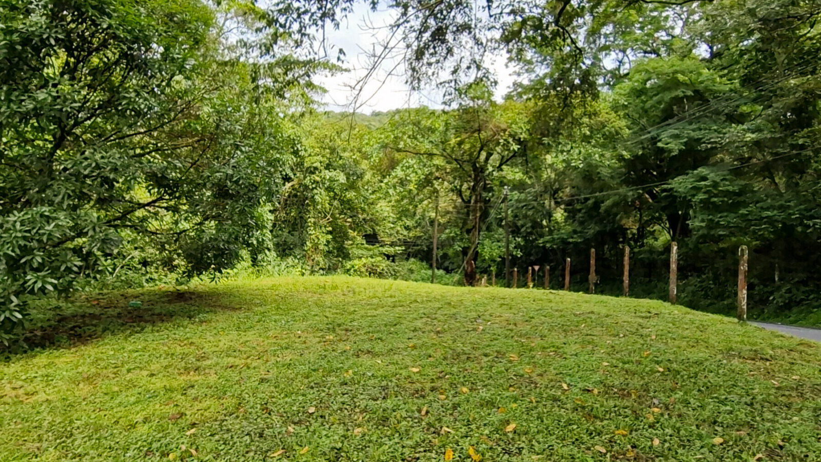 Commercial Lot, Desamparados