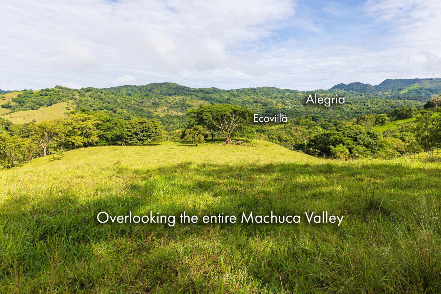 Meadow with a long open view across the Machuca Valley