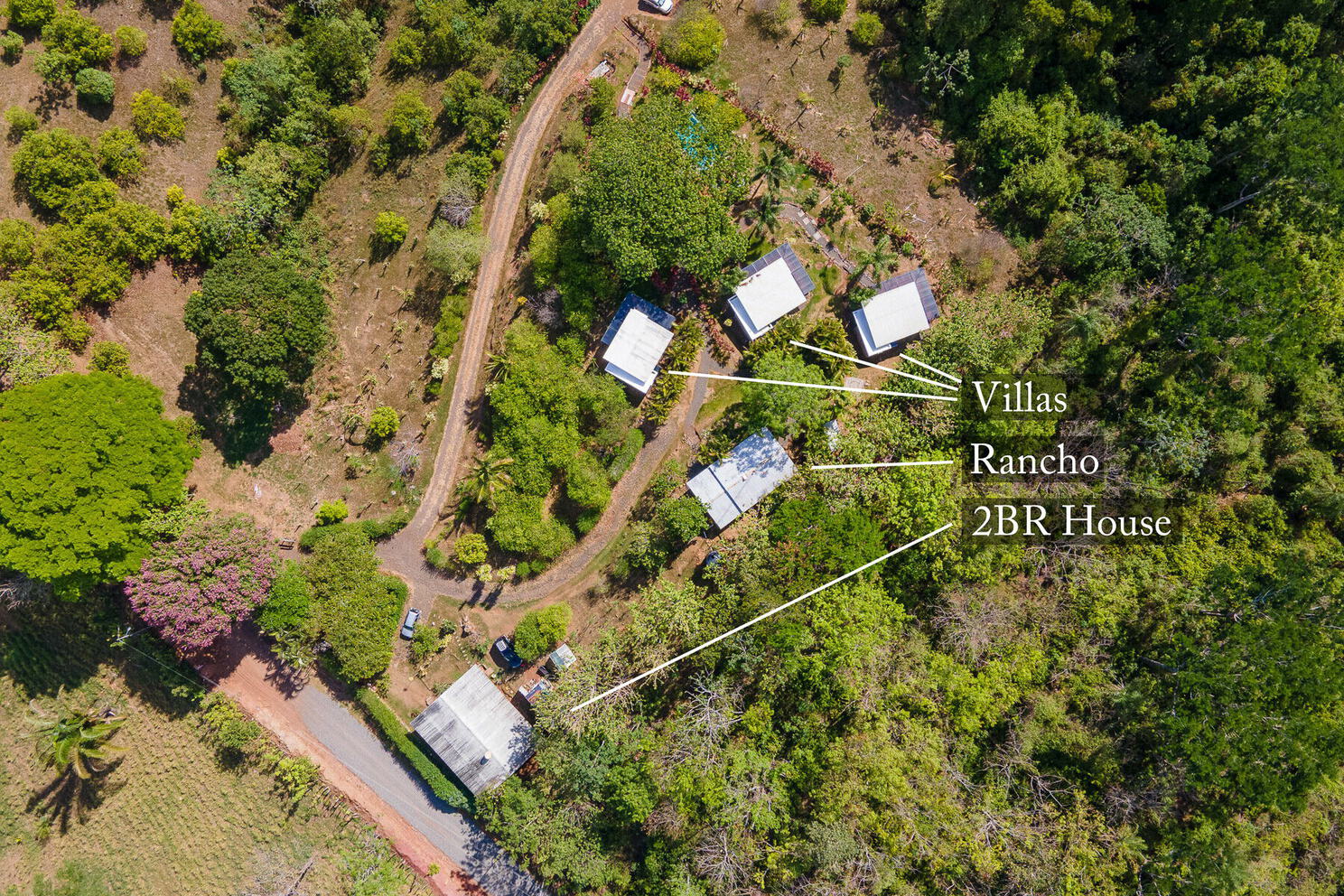Aerial view showing the estate buildings among the trees