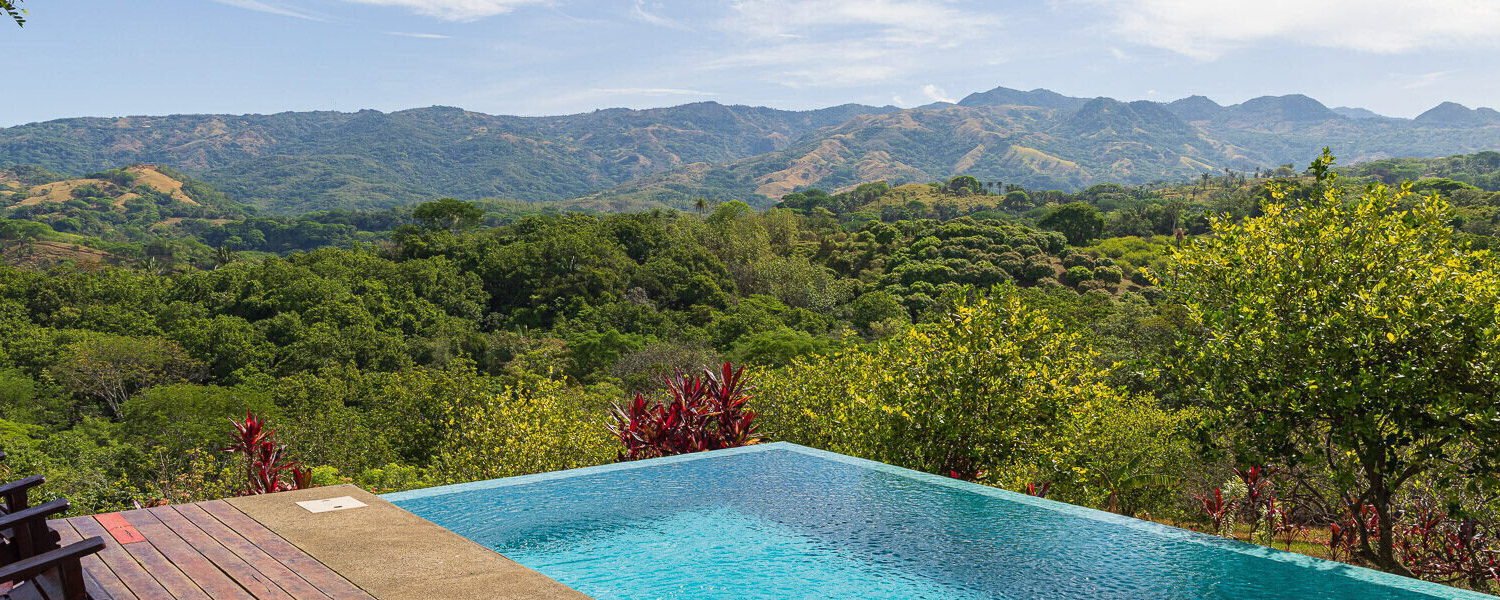 Infinity pool with flowering planting above a layered valley