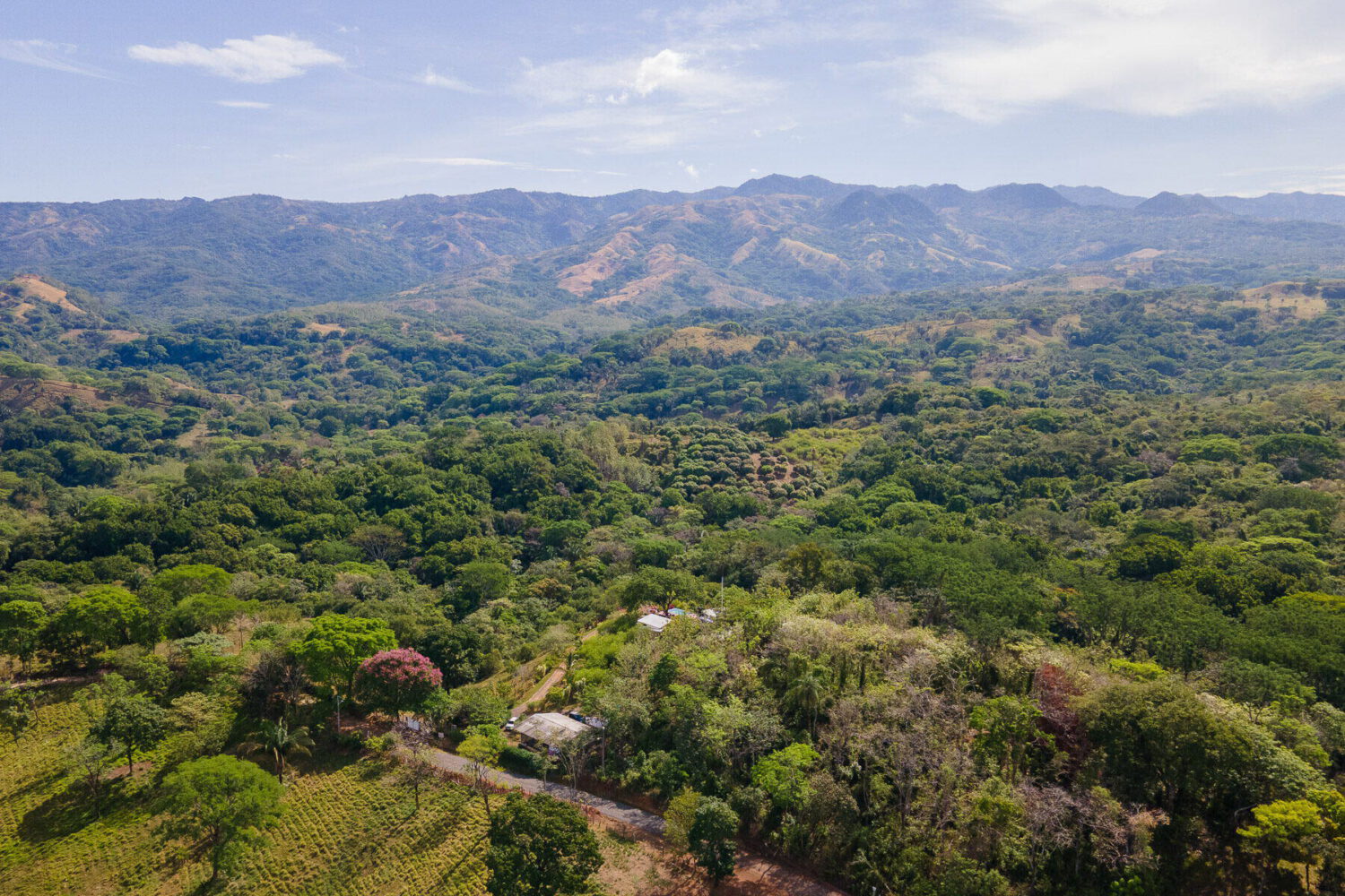 Wide panorama of forested hills and distant mountains