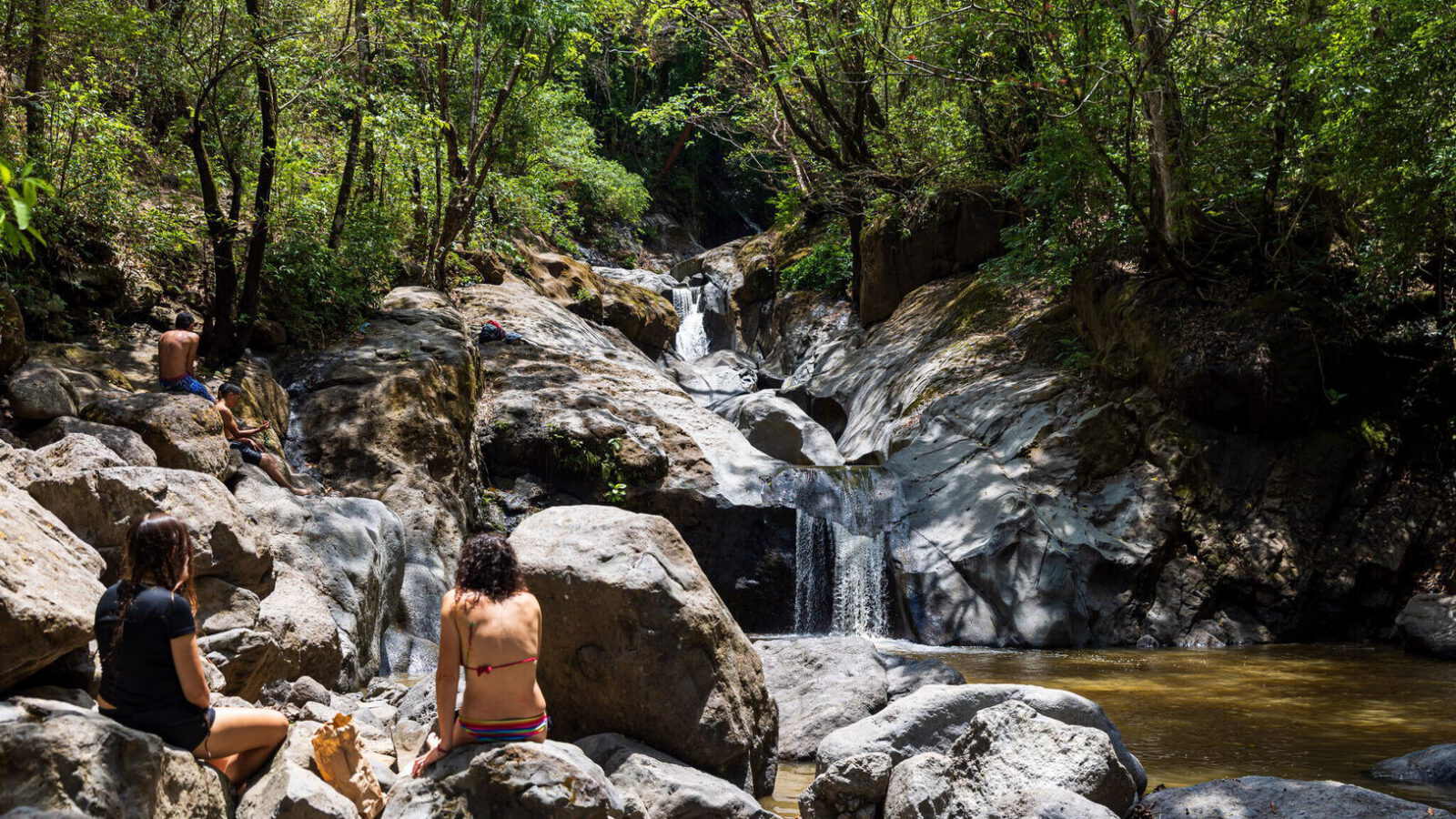 Finca Dorada