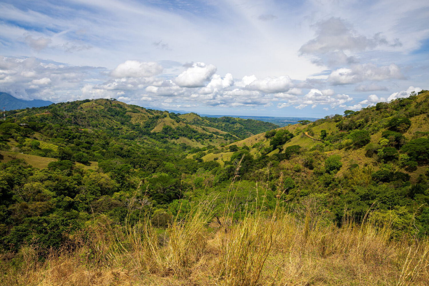 Rolling green hills under a sky of scattered clouds