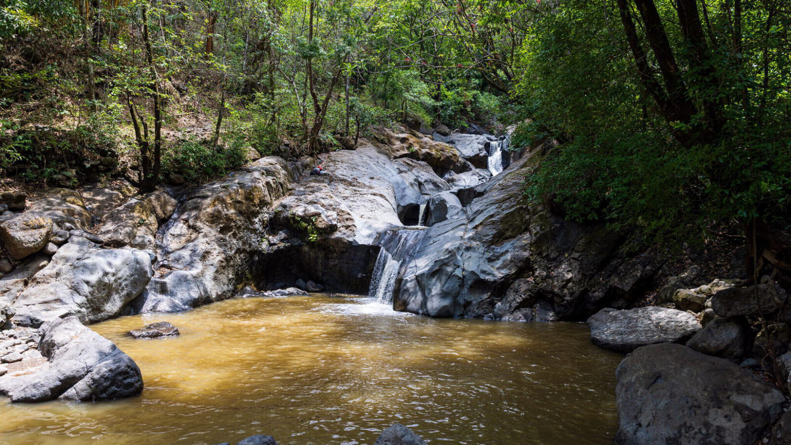 Finca Dorada