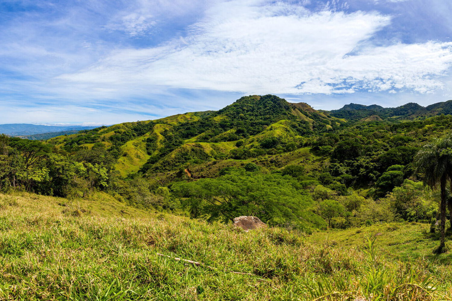 Panorama of green ridges receding into the distance