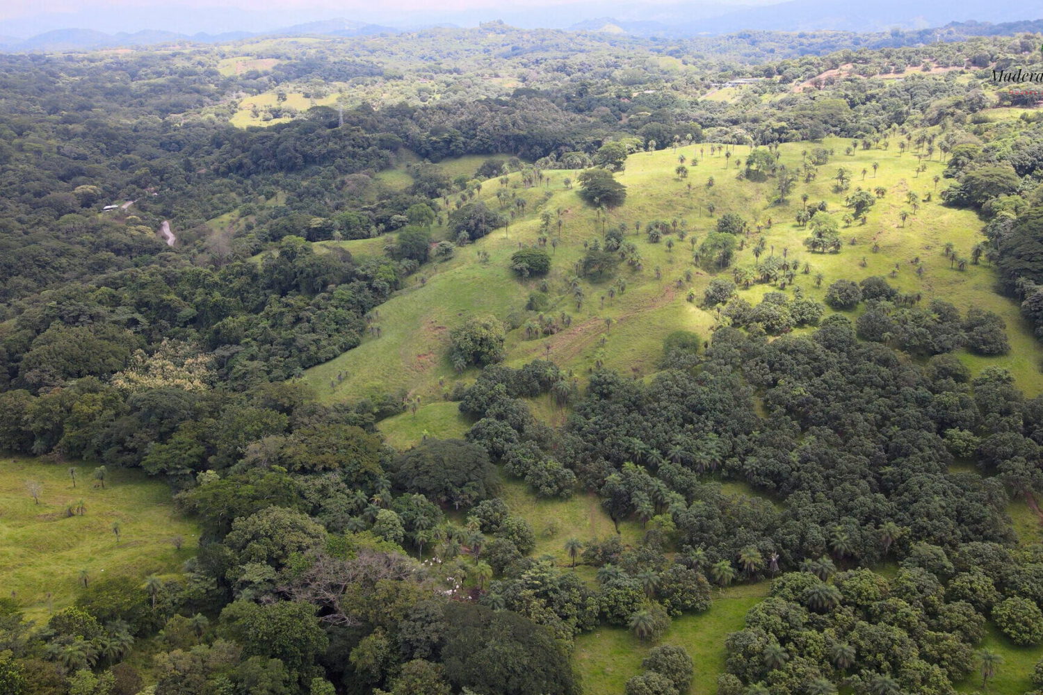Aerial view of green hills folding into a wooded valley