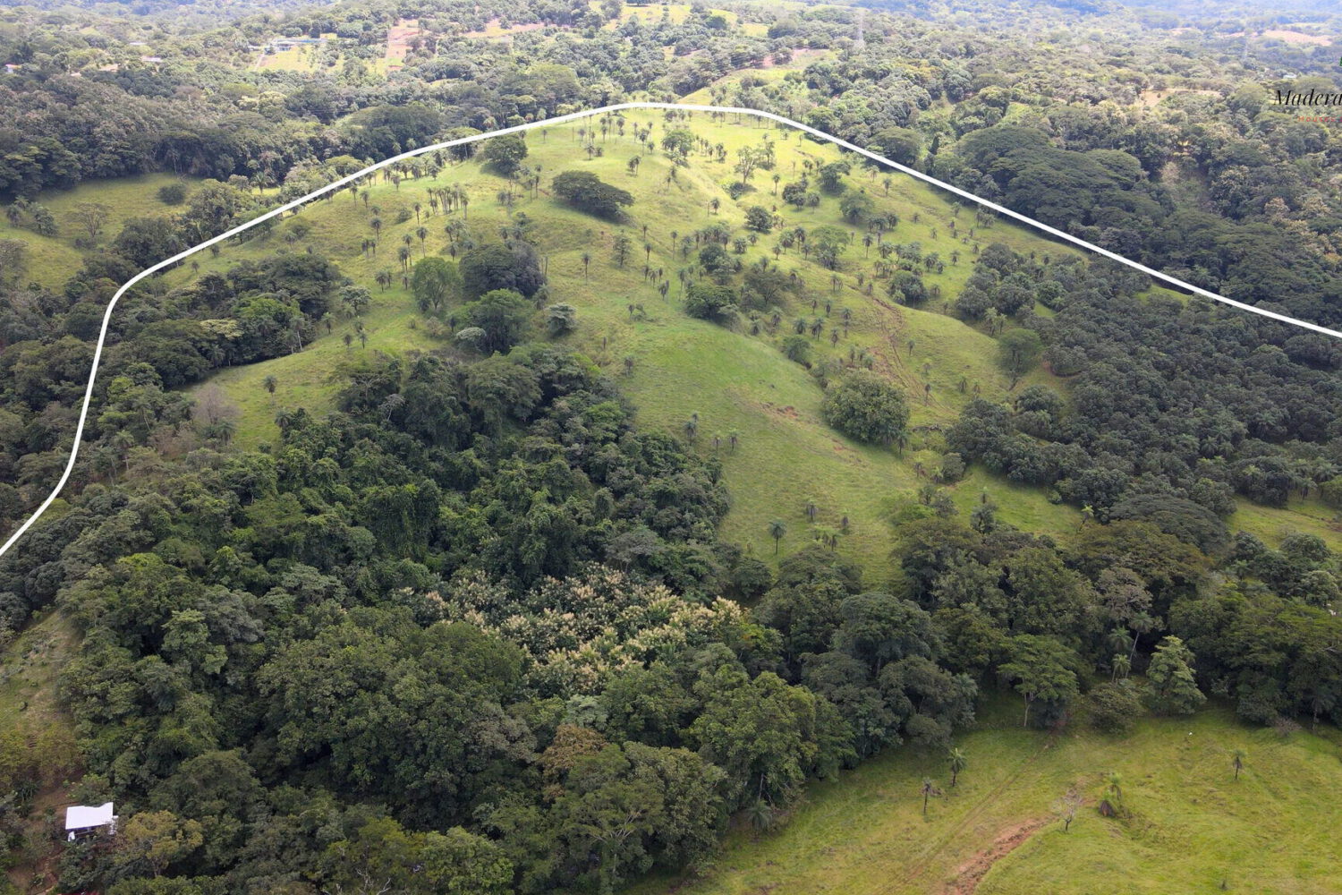 Aerial view of the farmland with its boundary marked