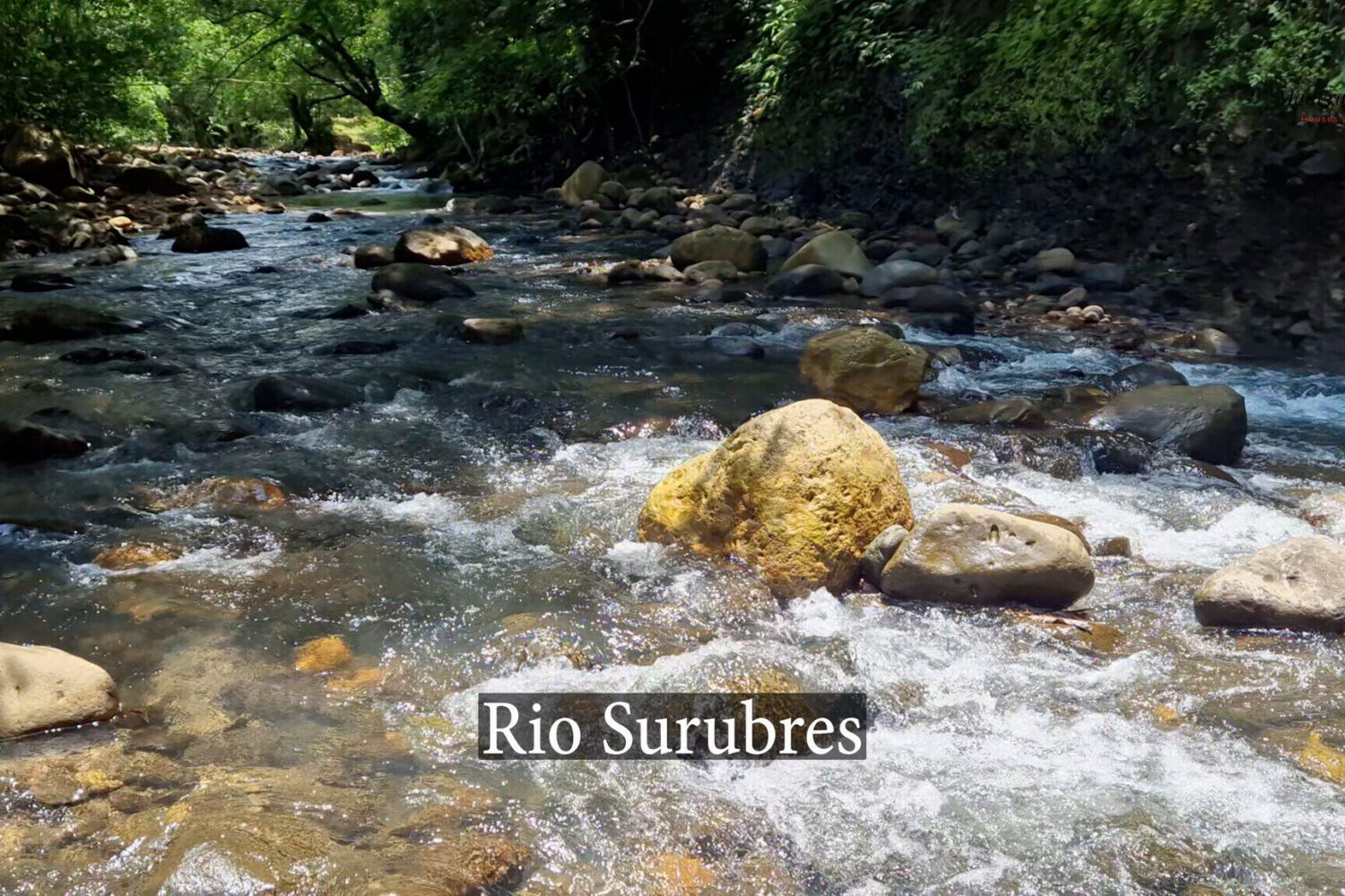 The Río Surrubres running clear over rocks at the farm edge