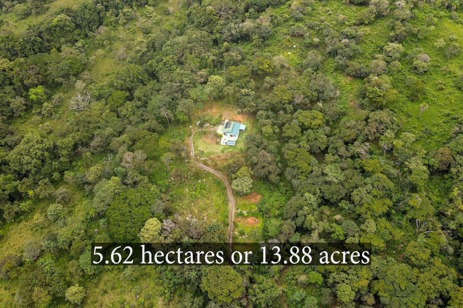 Aerial view of the forested property and its surroundings