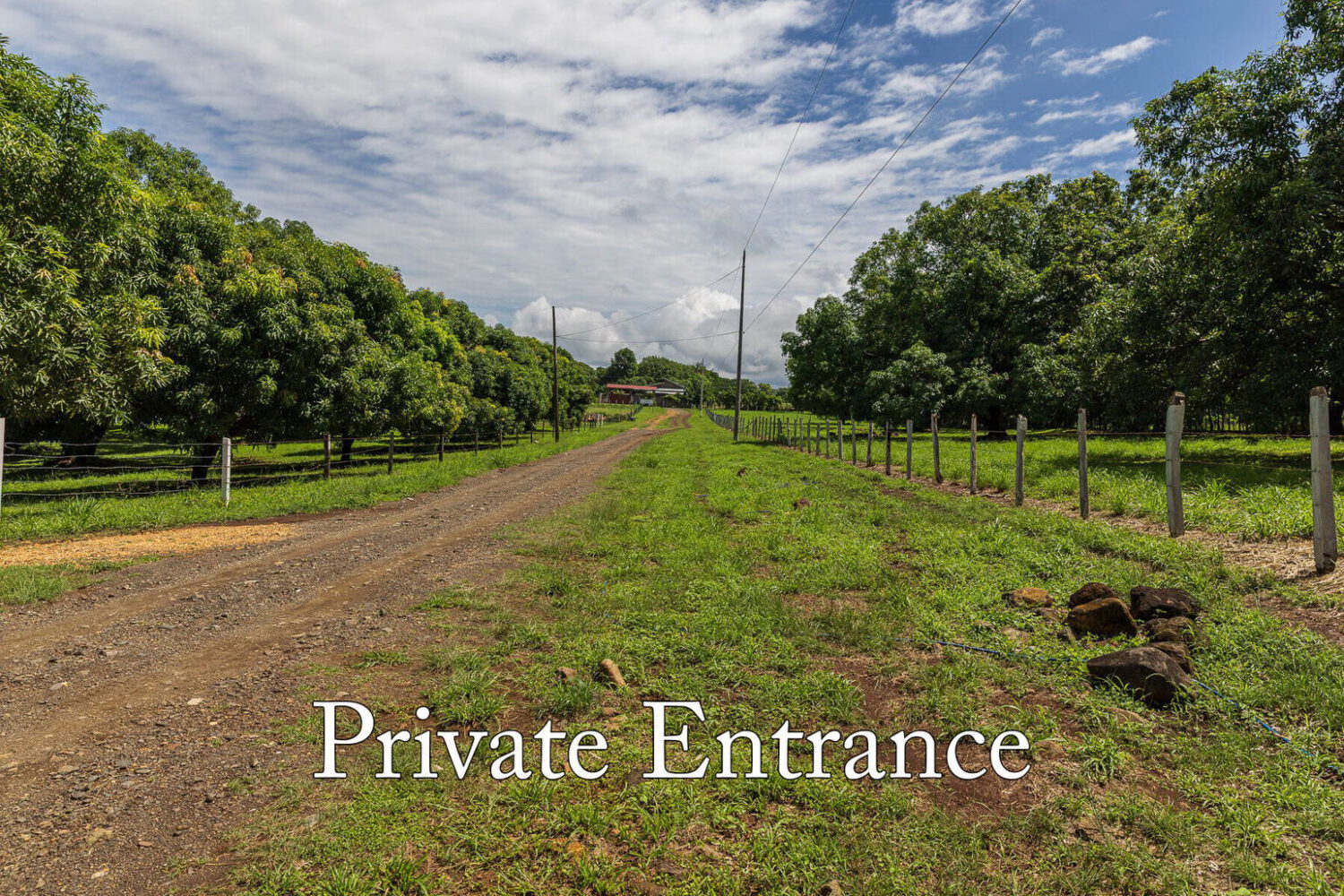 Gravel access lane running between fenced pasture