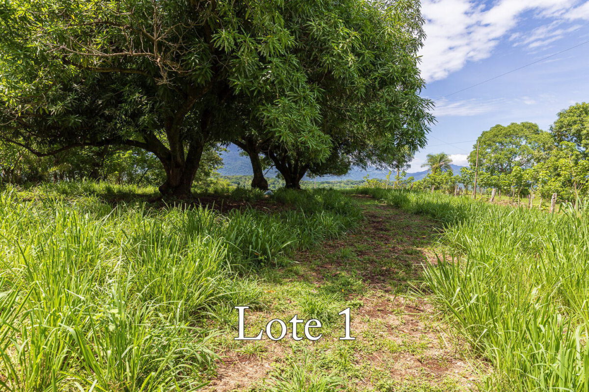 Large Lot with Views — Lot 1