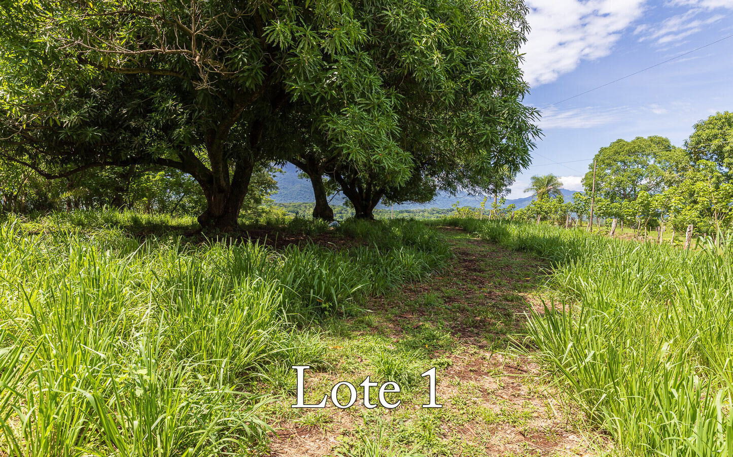 Large Lot with Views — Lot 1
