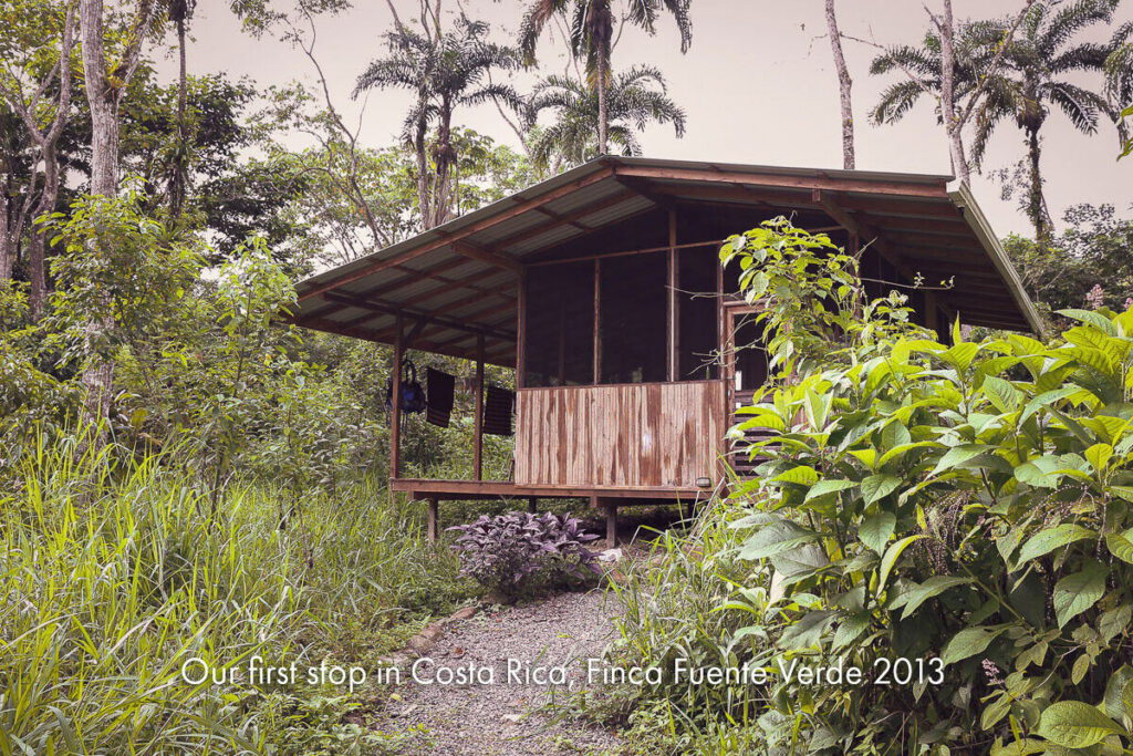 A timber cabin raised on stilts, surrounded by jungle