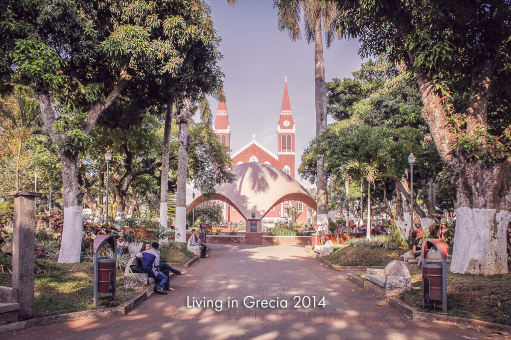 The tree-lined avenue leading to the church in Grecia