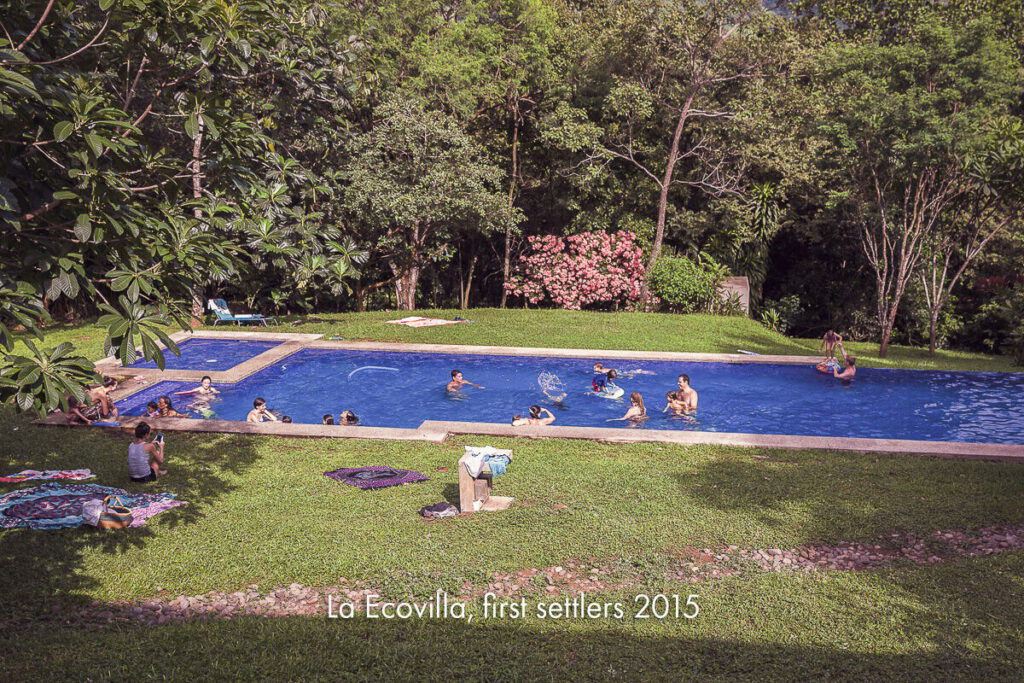 A swimming pool on a lawn ringed by jungle, with people swimming