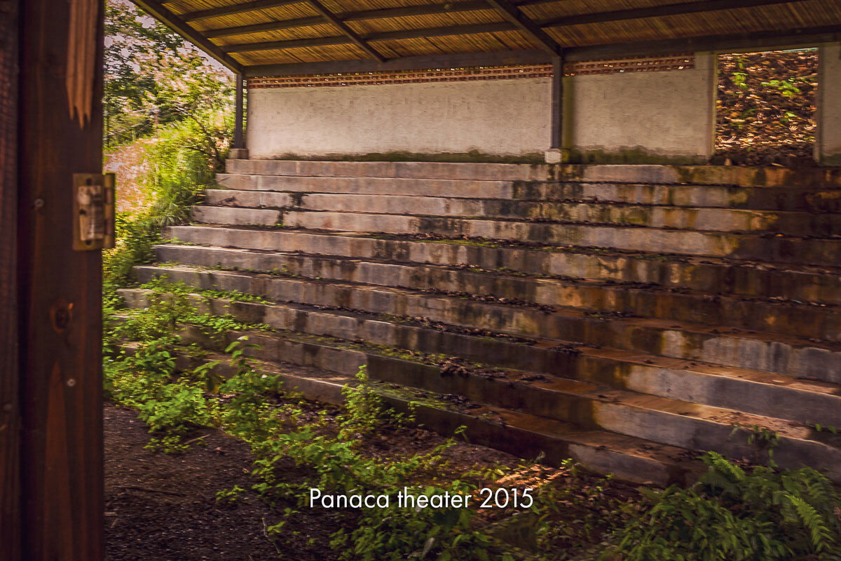 Weathered concrete tiers of an overgrown open-air theatre