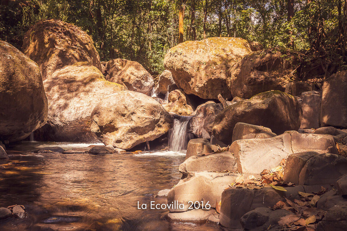 Large boulders and clear green pools along a jungle river