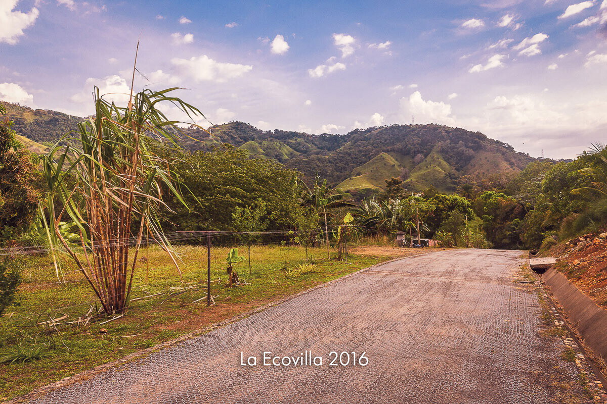 A gravel road curving through green hills