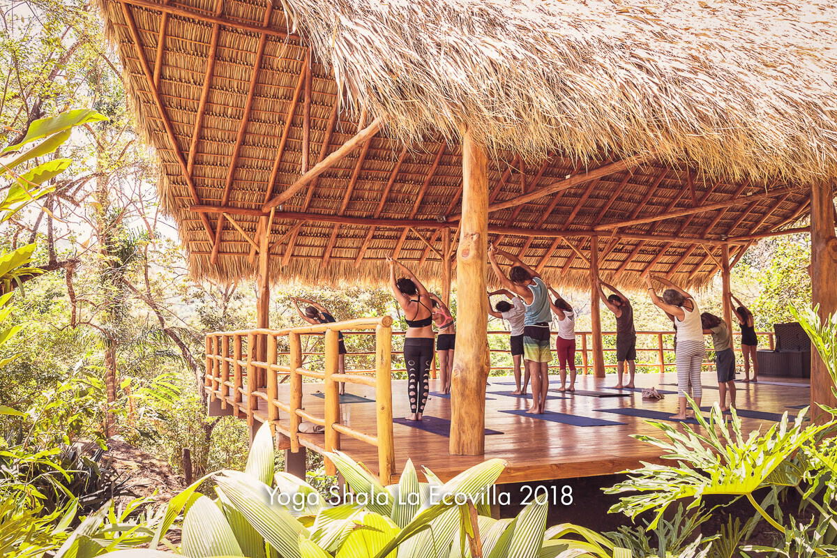 People practising yoga in an open thatched shala surrounded by jungle