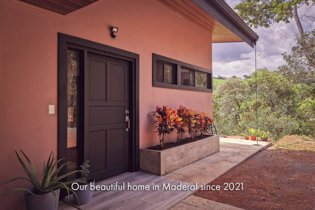 The entrance and planted terrace of a family home