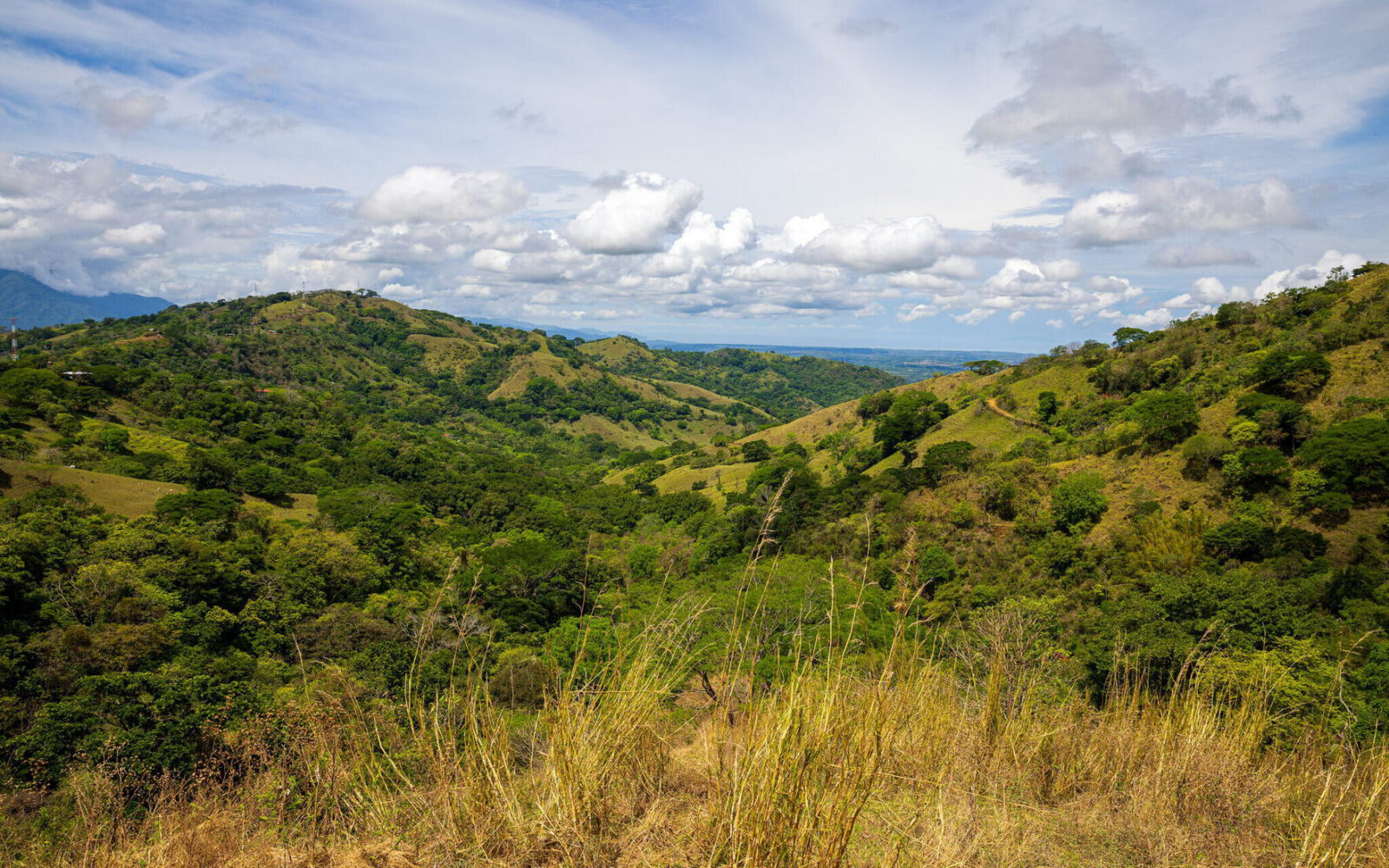 Rolling green hills of the Machuca Valley under a wide sky
