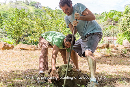 Two men setting a post into the ground on a cleared hillside