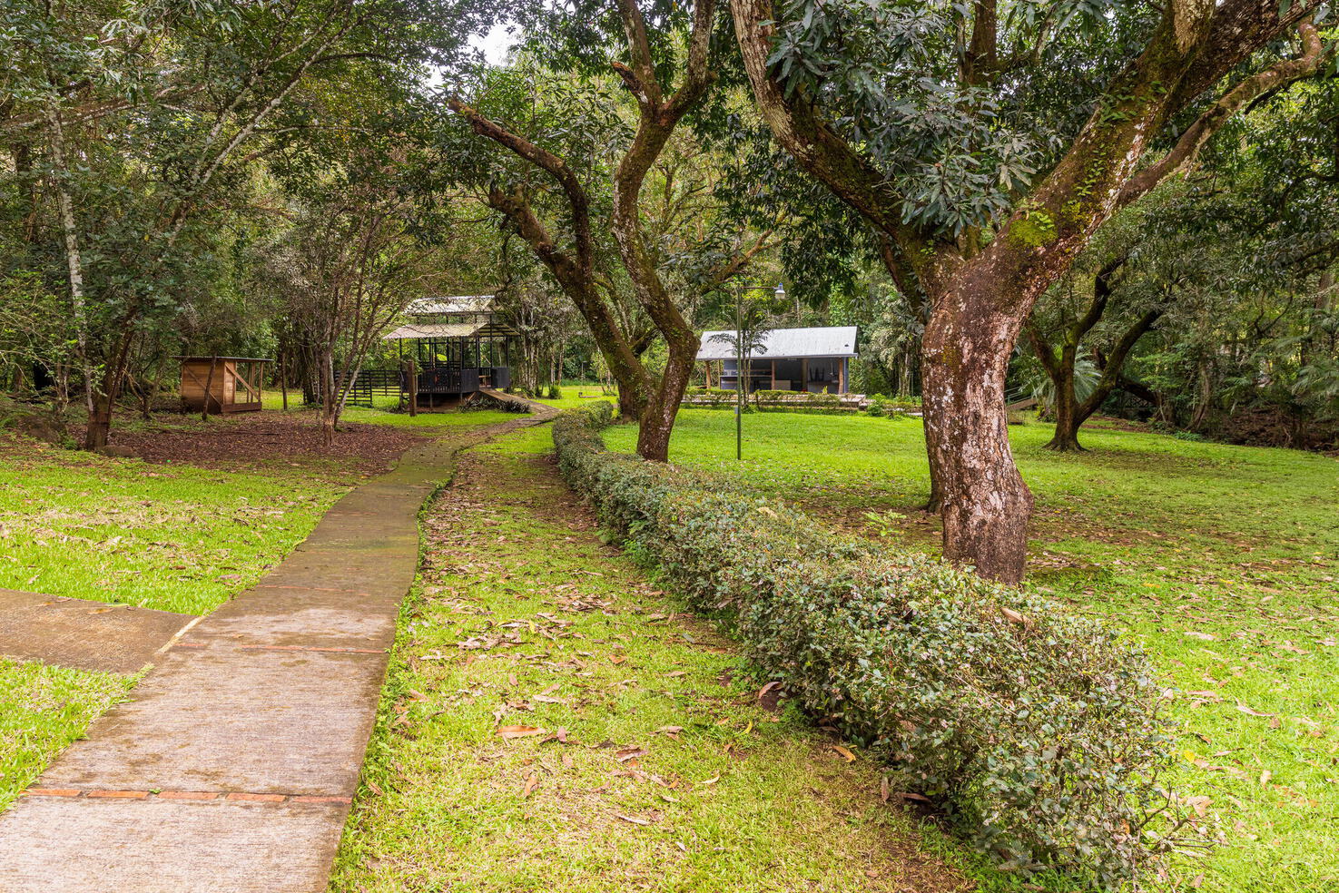 Grass path beneath mature trees leading toward two low buildings on flat land